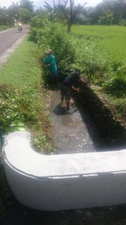 PEMERINTAH DESA SRIHARDONO MENGGALAKKAN KEBERSIHAN SELOKAN UNTUK MENCEGAH BANJIR